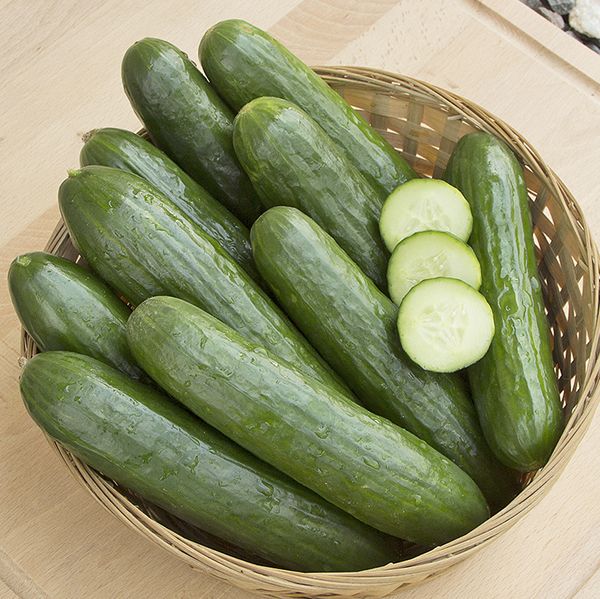 Organic Facts -5 Benefits Of Cucumber