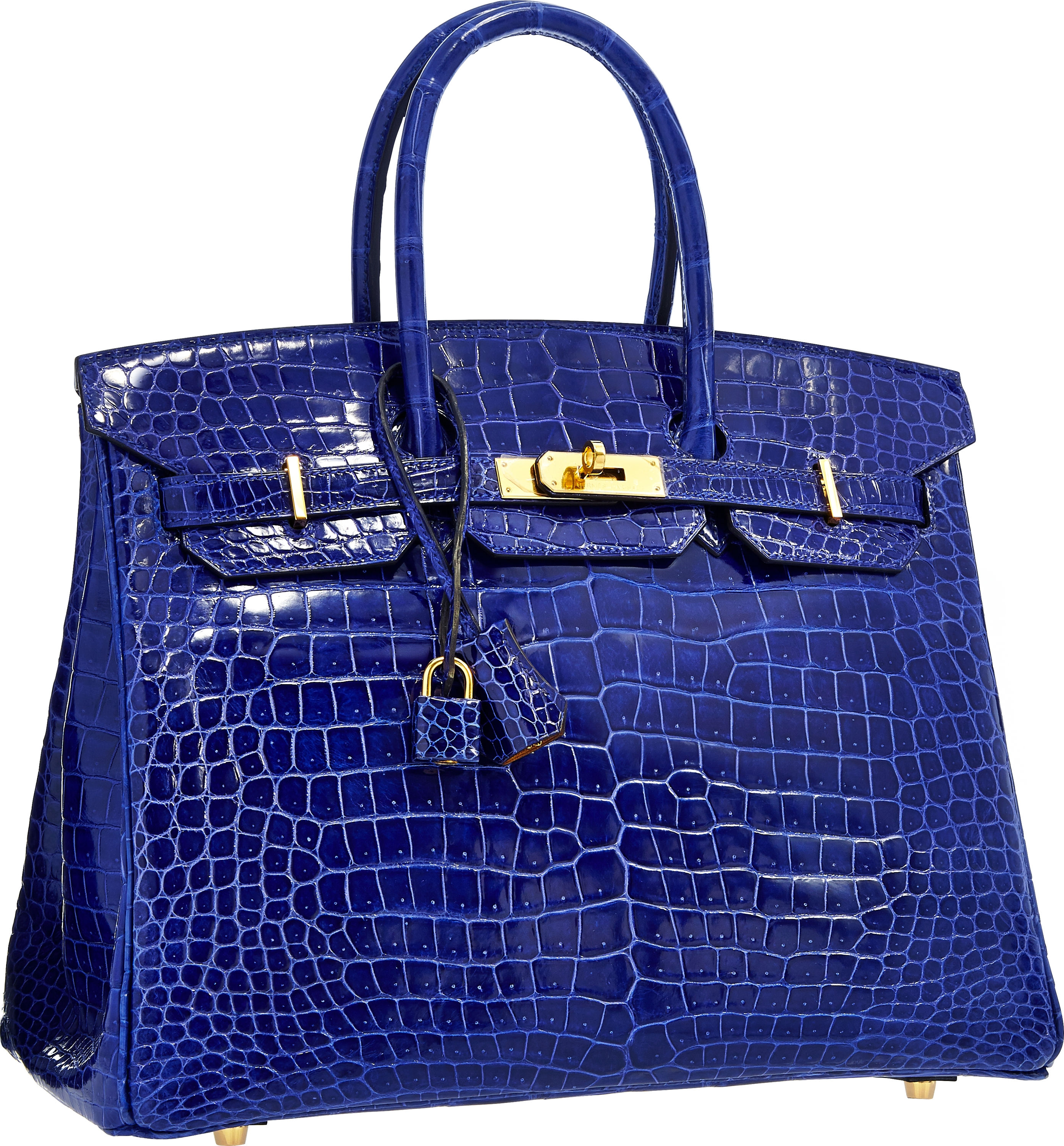 Most Expensive Luxury Bag | Literacy Ontario Central South