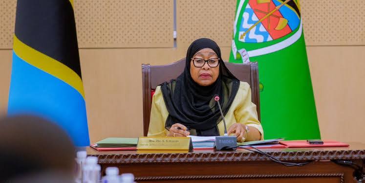 Tanzanian Government Protects Entrepreneur Citizens with New Ban on Certain Foreign Businesses